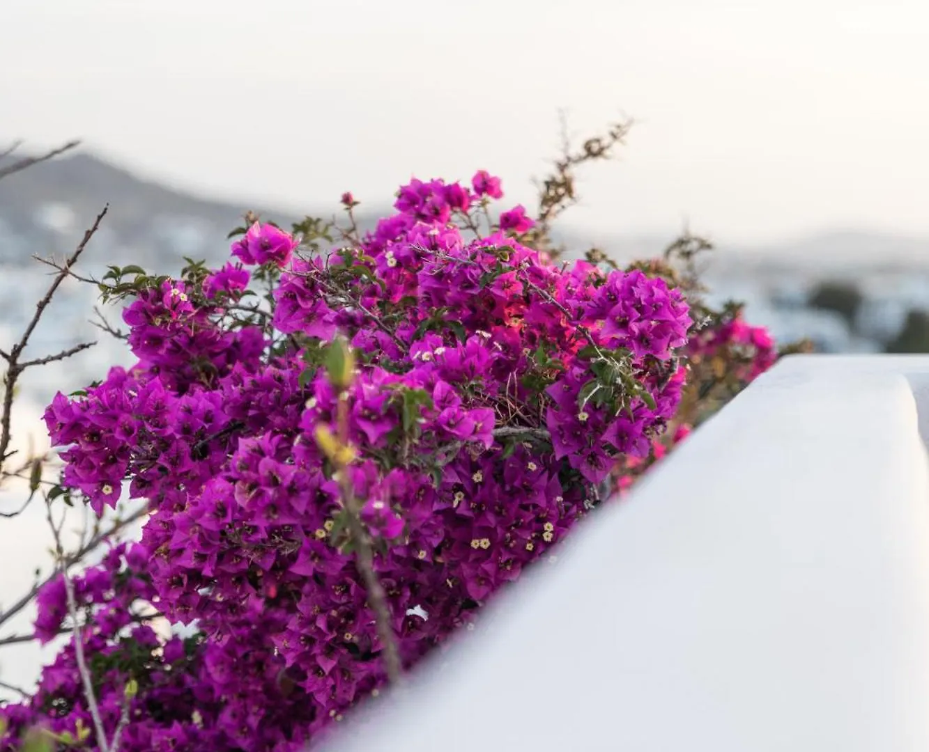 Callisti Mykonos Town With Pool View And Calypso Upper Floor With Sea View